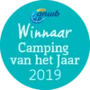Camping van het jaar 2019 winnaar vector